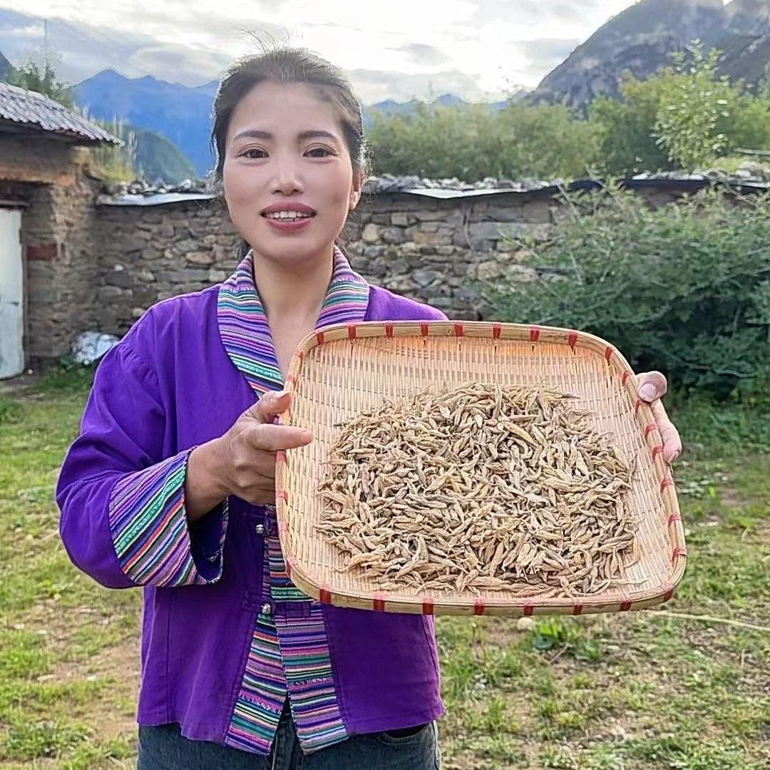 西藏发货高海拔麦冬250g大小不一颜色不均匀炖汤煮水甘甜清香