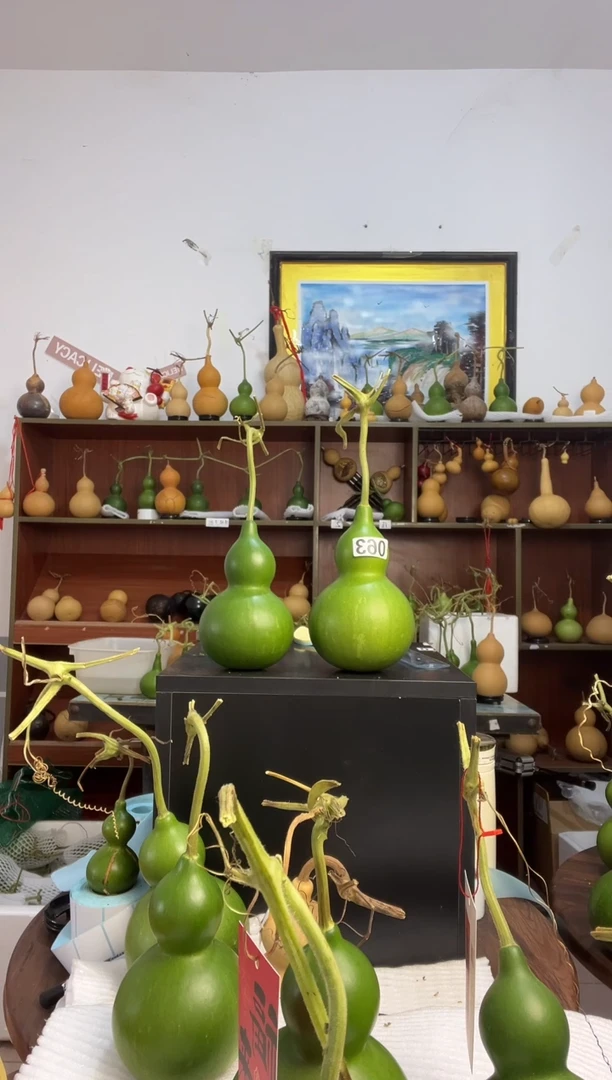 ?063天然葫芦摆件 一物一拍龙头不保售后两个