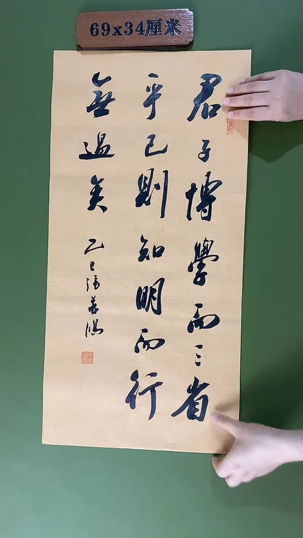 书法书法 张若鸿 尺寸69cm*34cm