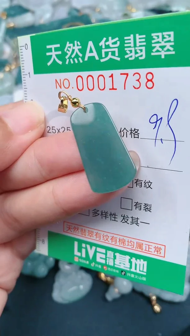 颈饰未镶嵌翡翠.0001738