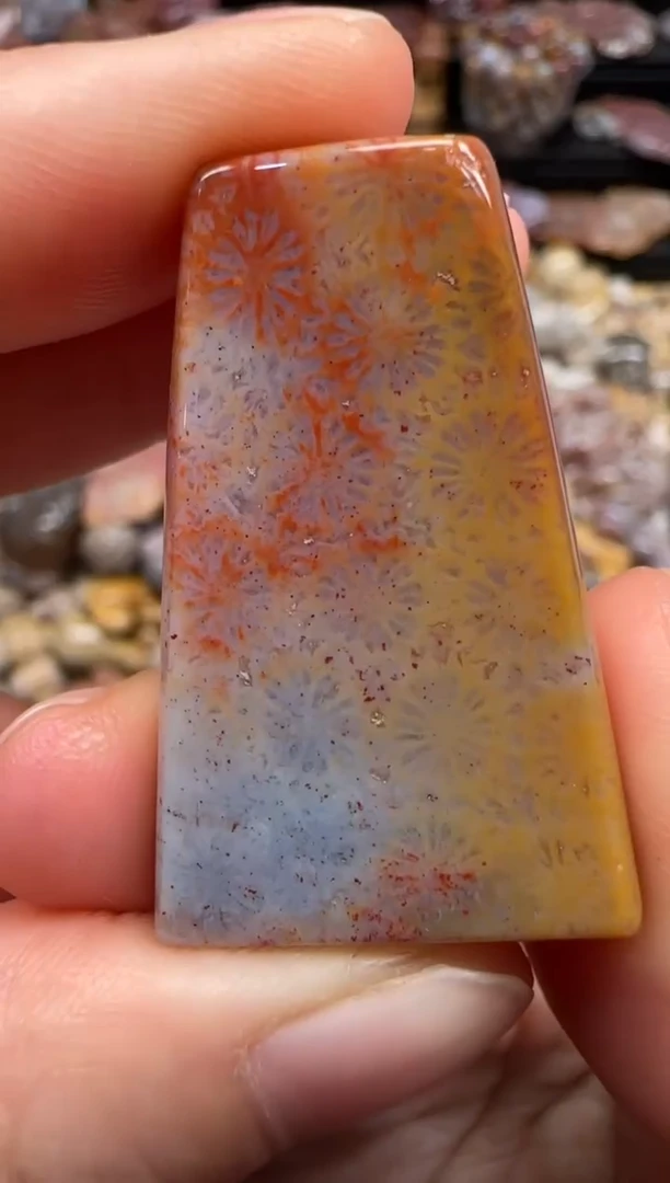 【闪购商品】硅化珊瑚（珊瑚玉）颈饰未镶嵌694