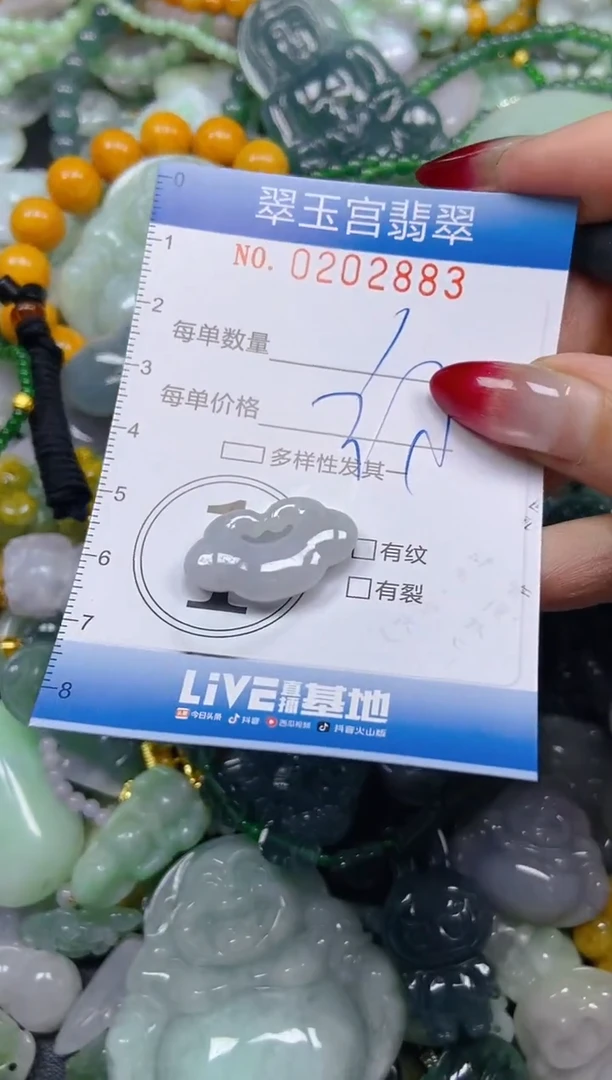 颈饰未镶嵌翡翠闪购C0202883