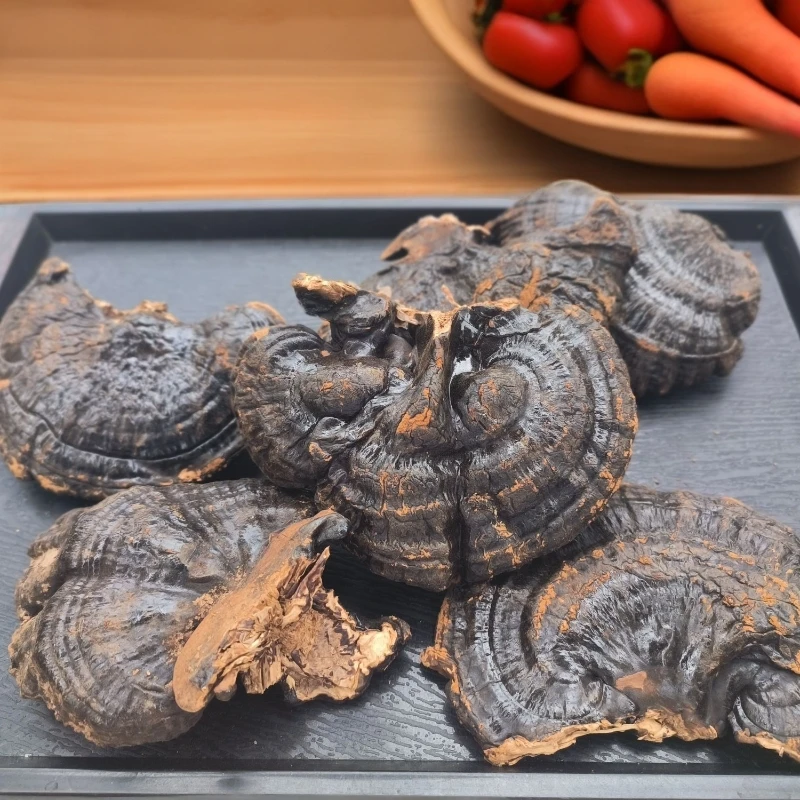 正宗灵芝黑灵芝野灵芝