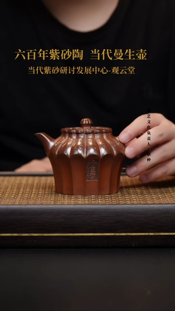 茶壶紫砂紫砂茶壶  柴烧  高菱花