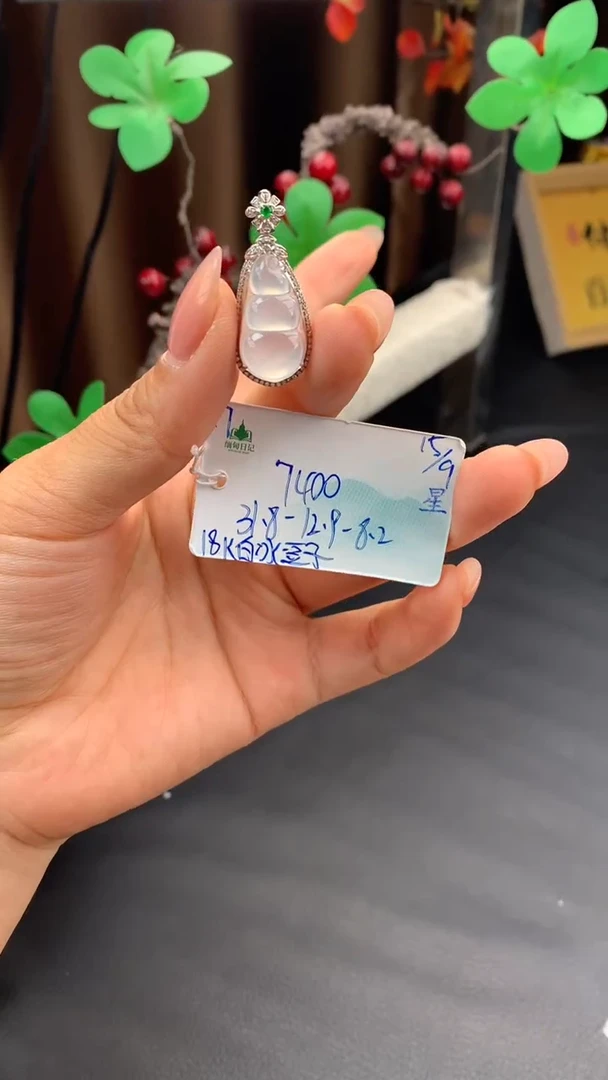 颈饰未镶嵌翡翠自带#送人#，联系客服核对地址~