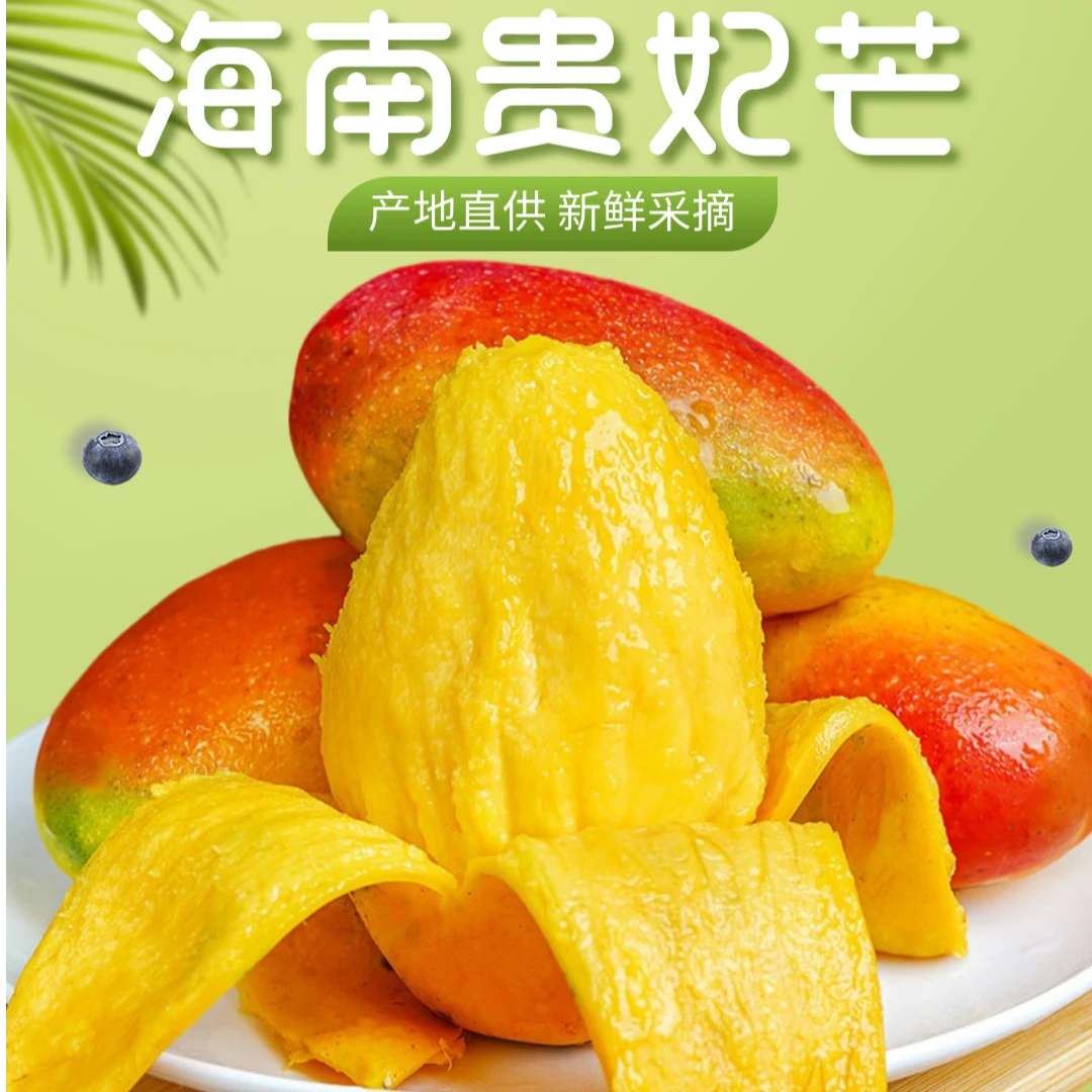 现摘现发海南树上熟贵妃芒 树上熟贵妃芒 芒果
