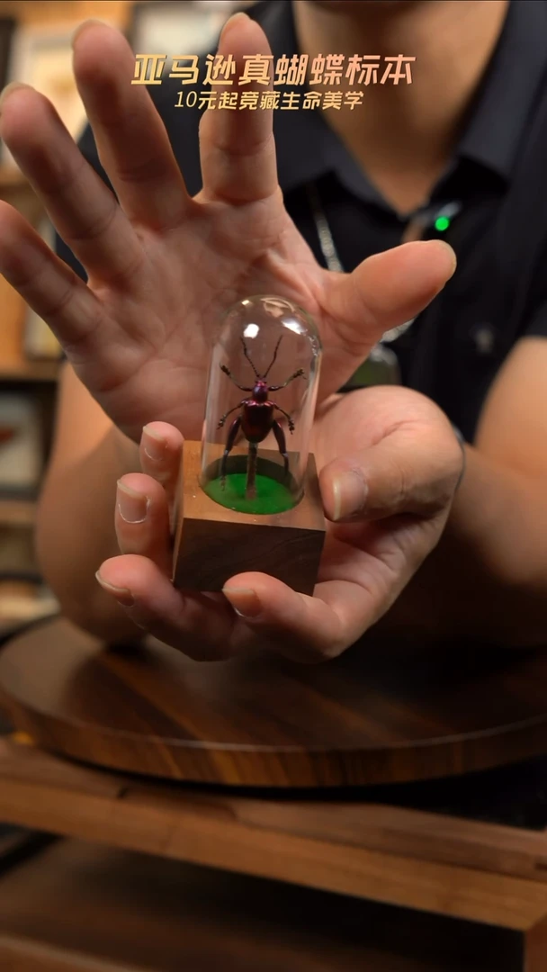 紫茎甲胡桃木试管款