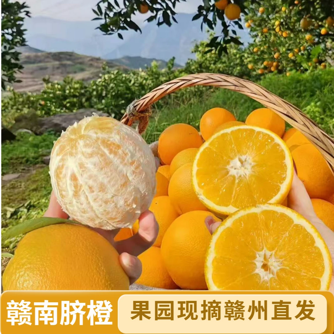 脐橙子赣南脐橙10斤装薄皮江西产地直发正宗果园直供大果20斤一箱