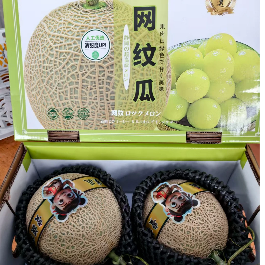 【礼盒装】甄选网纹瓜2颗装