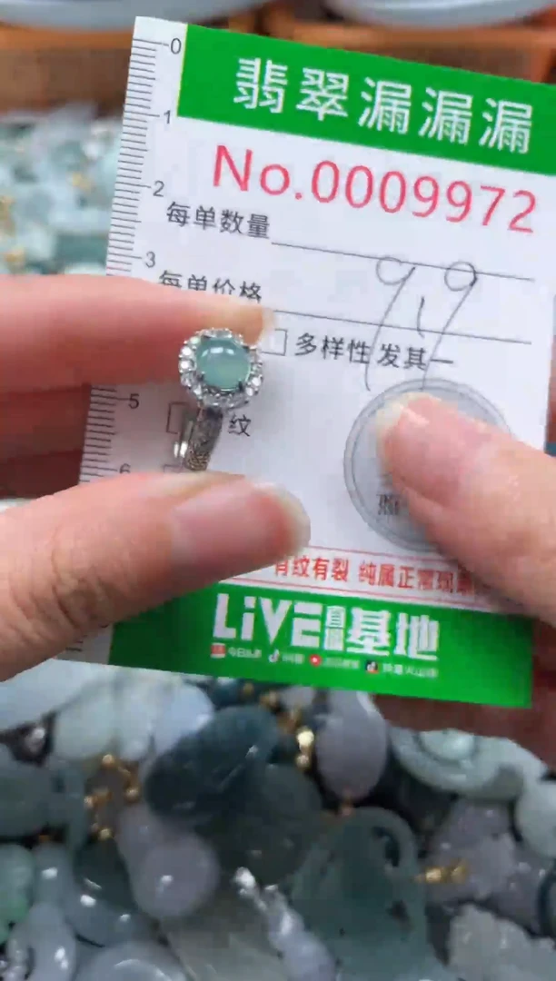 颈饰未镶嵌翡翠9972