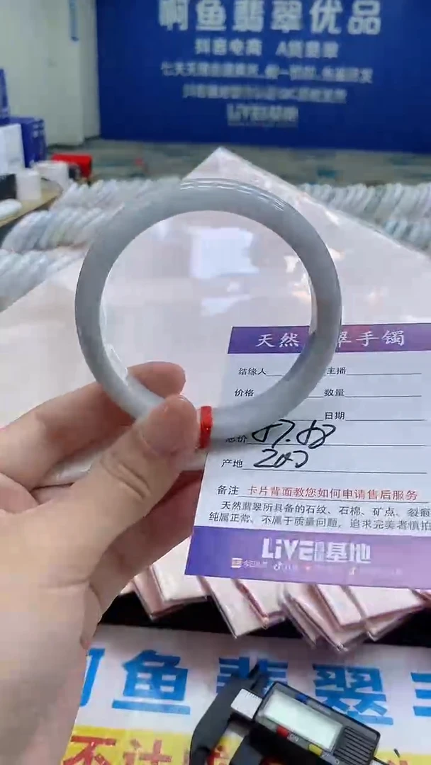 未镶嵌手镯翡翠28