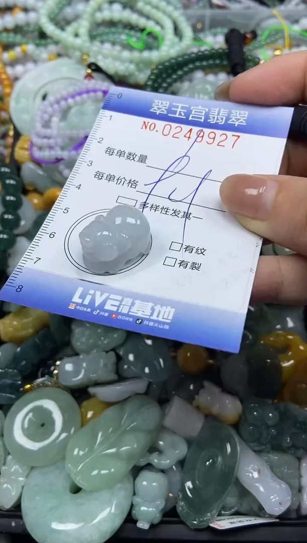 颈饰未镶嵌翡翠闪购C0249927