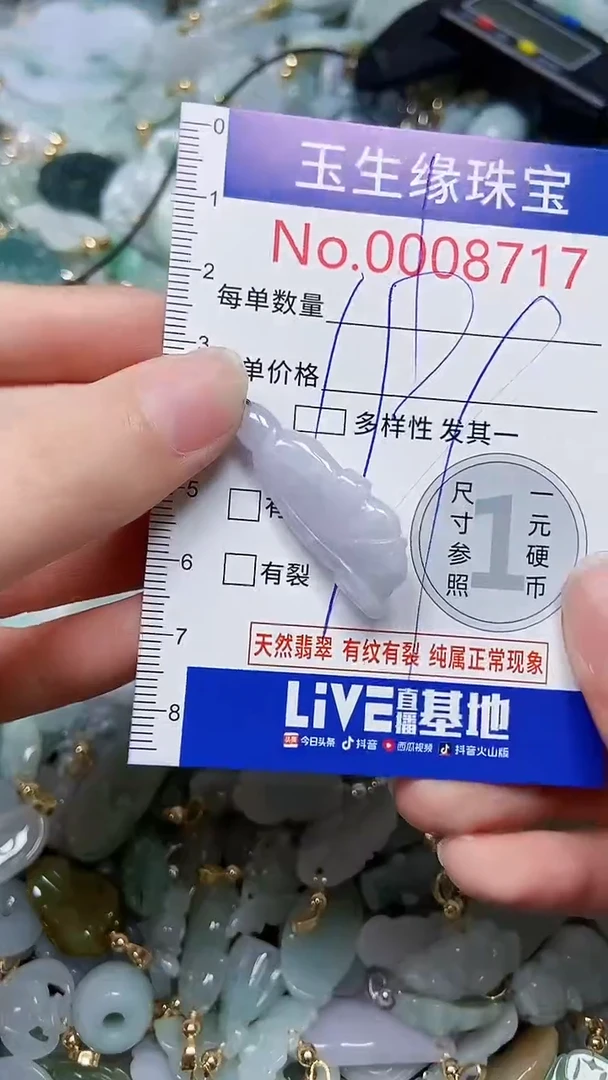 【闪购商品】翡翠颈饰未镶嵌闪购00008717
