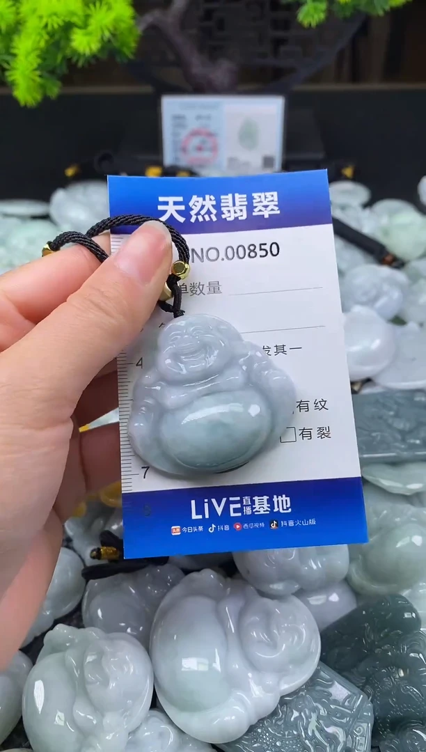 颈饰未镶嵌翡翠天然缅甸翡翠850