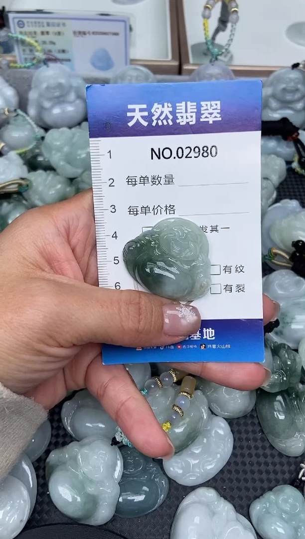 颈饰未镶嵌翡翠纯天然A货翡翠2980