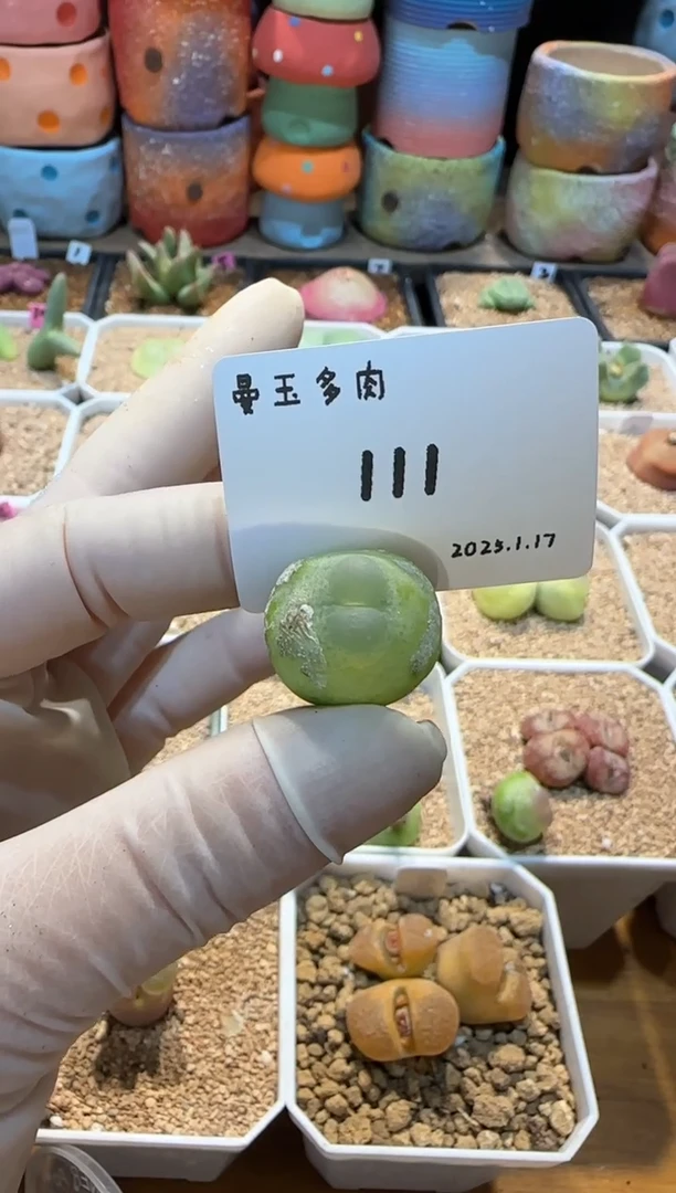 【闪购商品】25.1.17-111温暖