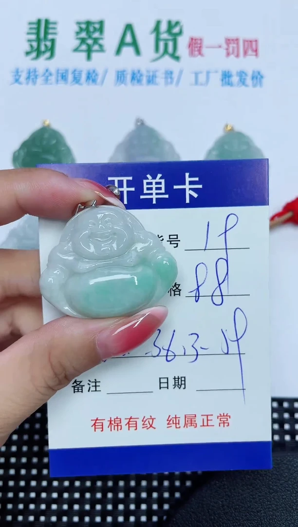 翡翠未镶嵌吊坠(赠链)19