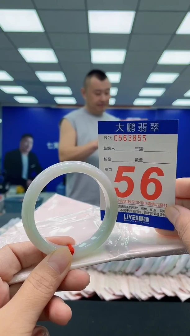 未镶嵌手镯翡翠AAAAAAAAA
