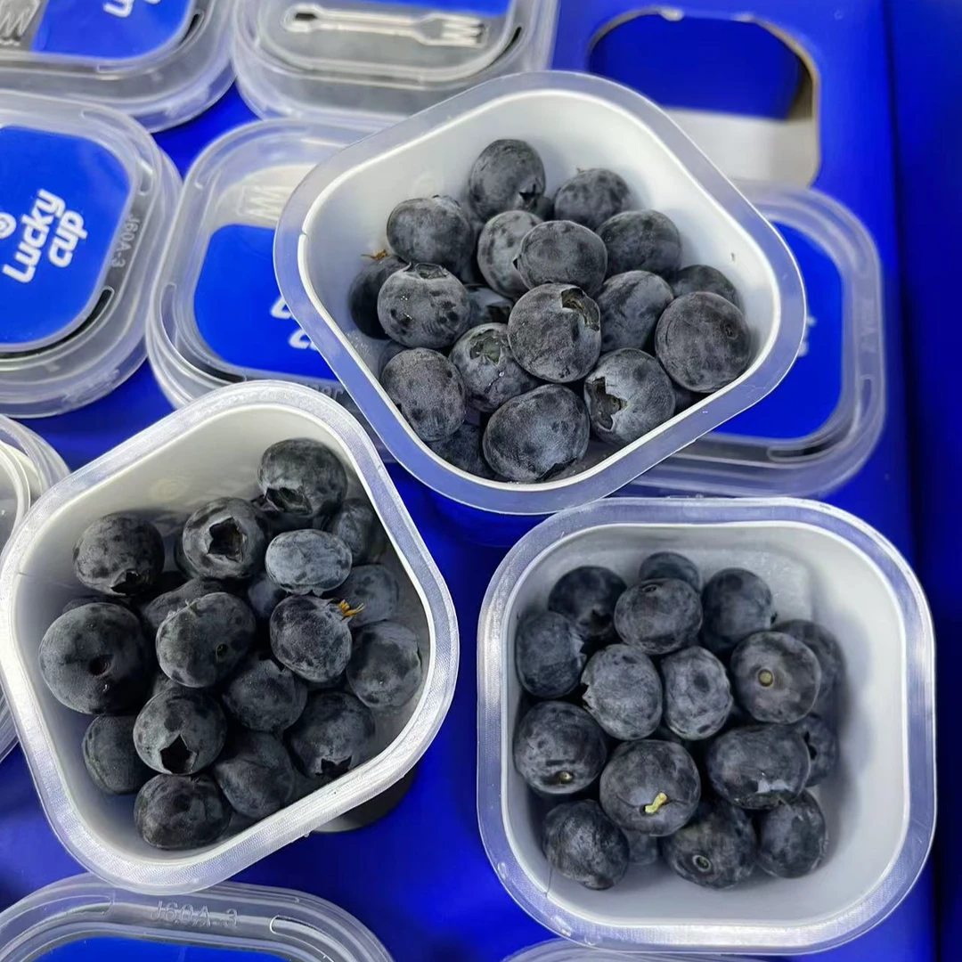 云南花香蓝莓脆甜 12杯