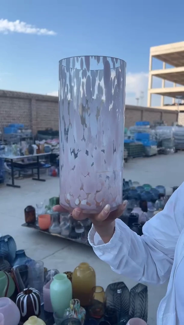 玻璃花瓶用于客厅桌面插花装饰