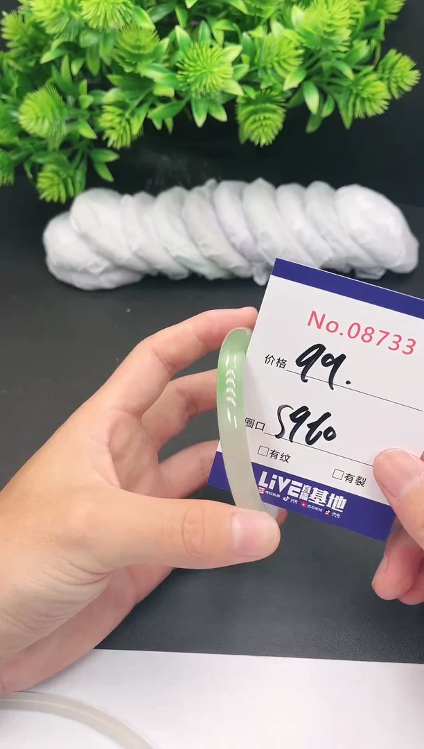 未镶嵌手镯翡翠8733