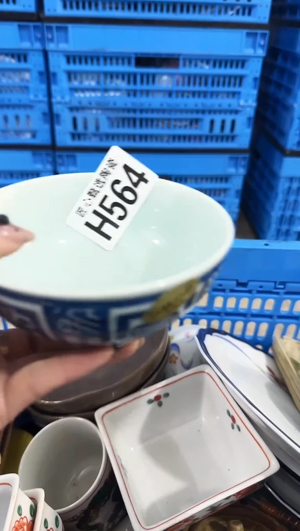 瓷片娥*         H564