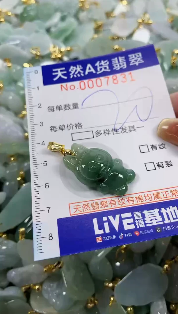 颈饰未镶嵌翡翠天然A货翡翠