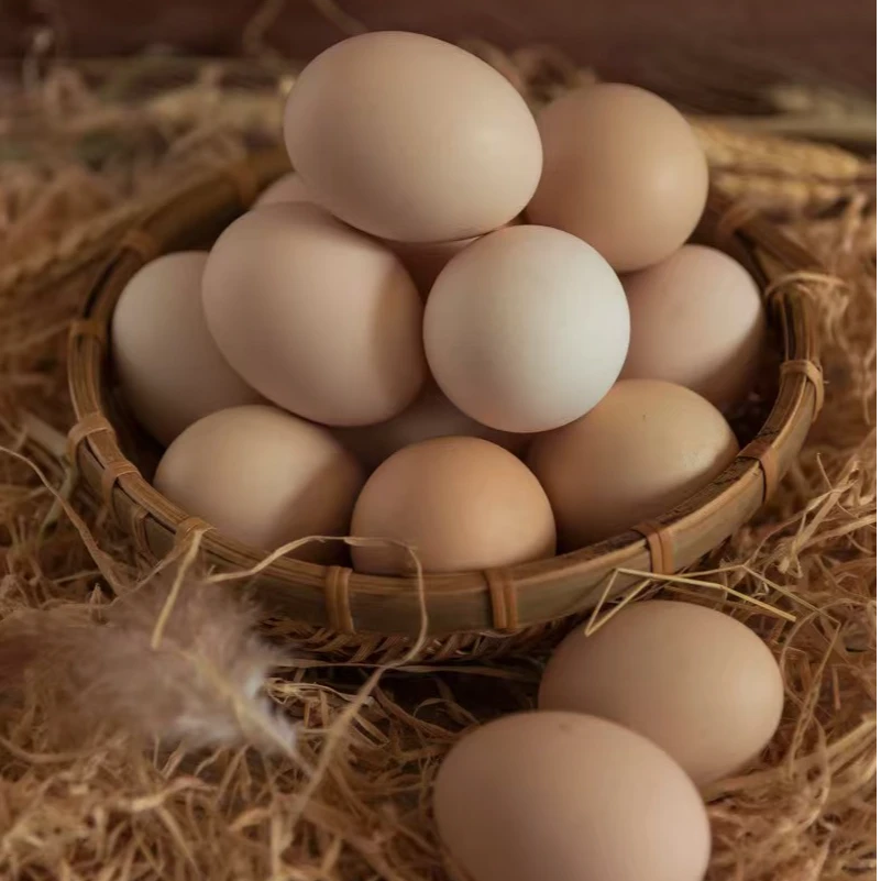 【土鸡蛋20枚】农家散养粉壳土鸡蛋纯谷物喂养 现捡现发 45-50克/枚