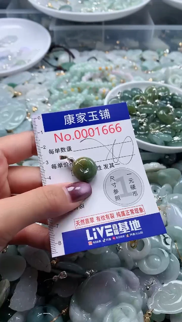 翡翠未镶嵌吊坠(不含链)1666