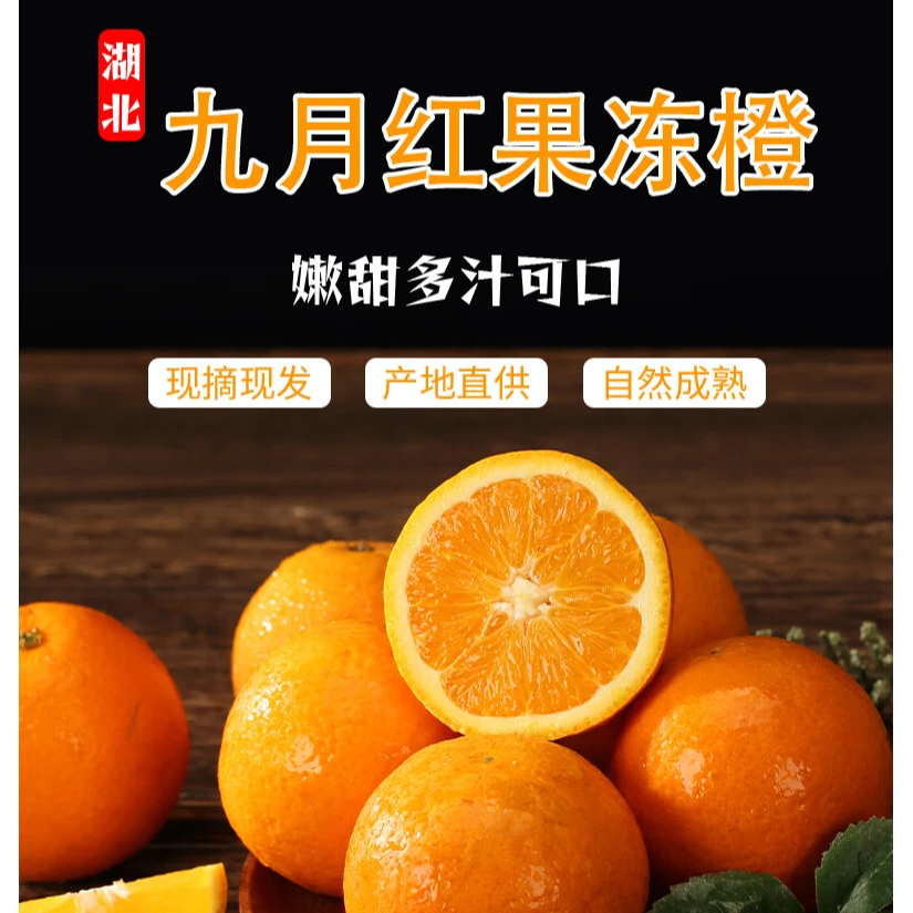 湖北九月红果冻橙 脐橙当季新鲜甜橙子孕妇水果整箱净重9斤