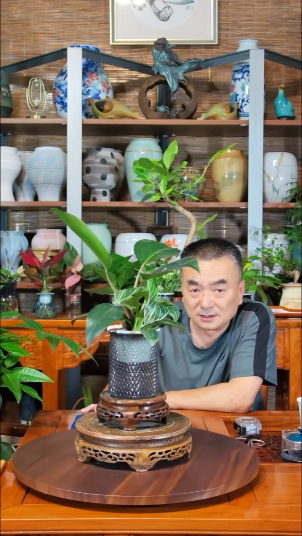 无花朵用****9水之韵水培铂金钻