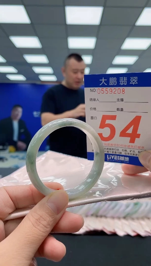 未镶嵌手镯翡翠AAAAAAAAA