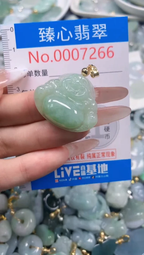 翡翠未镶嵌吊坠(不含链)7266