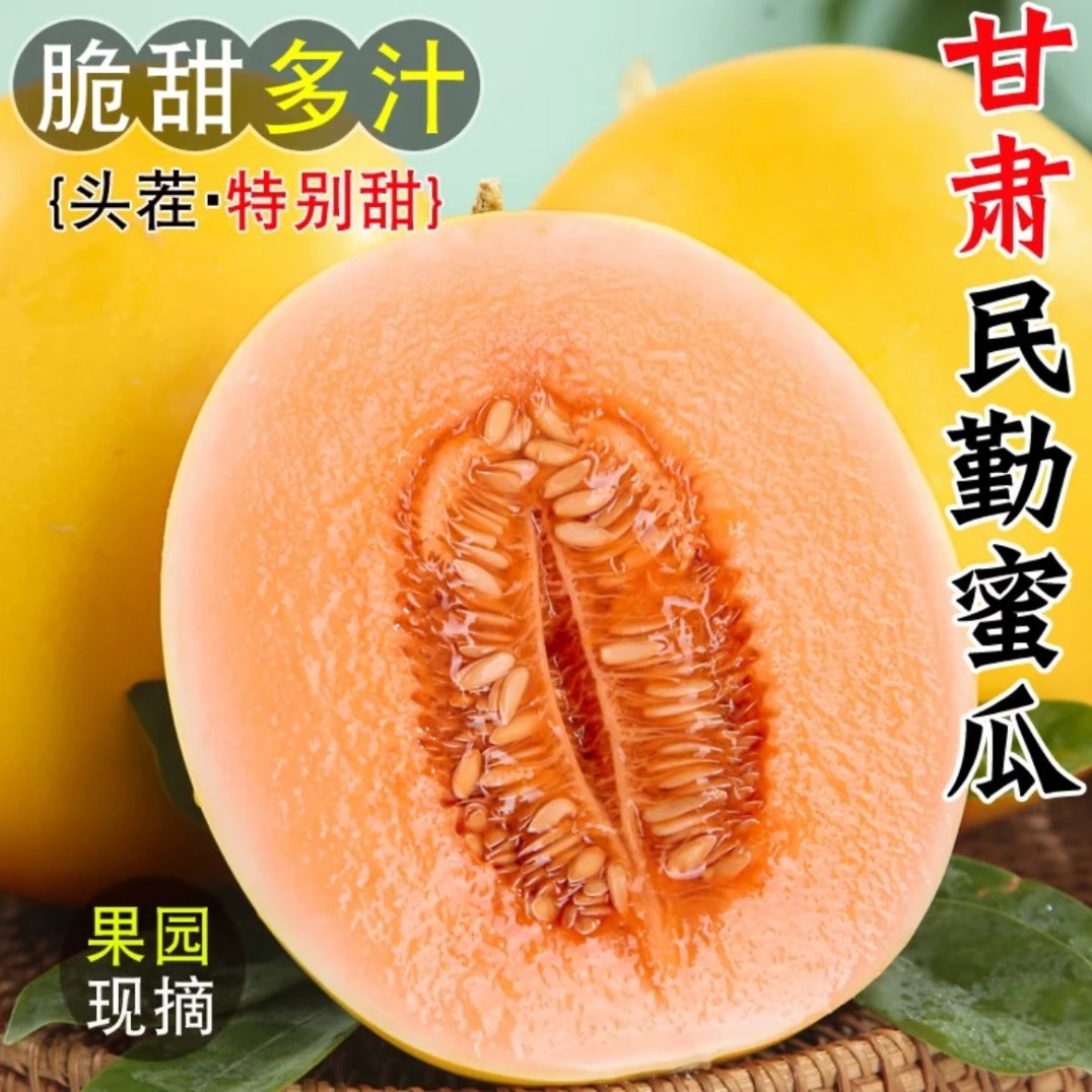 【爆甜】正宗甘肃民勤蜜瓜黄皮脆甜当季头茬新鲜水果