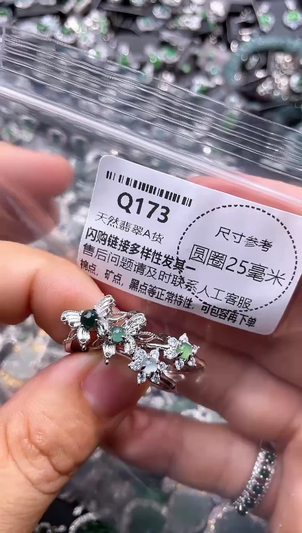 翡翠未镶嵌颈饰Q173戒指 多样性发其二