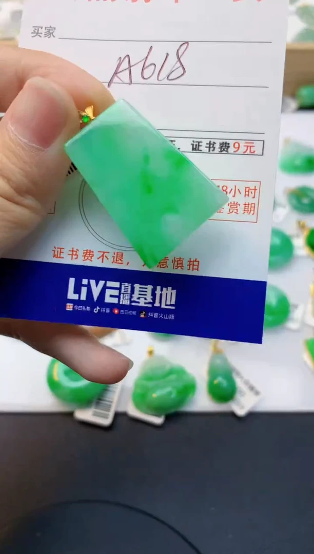 颈饰18K金镶嵌翡翠天然缅甸A货翡翠百元以上9元证书费自理