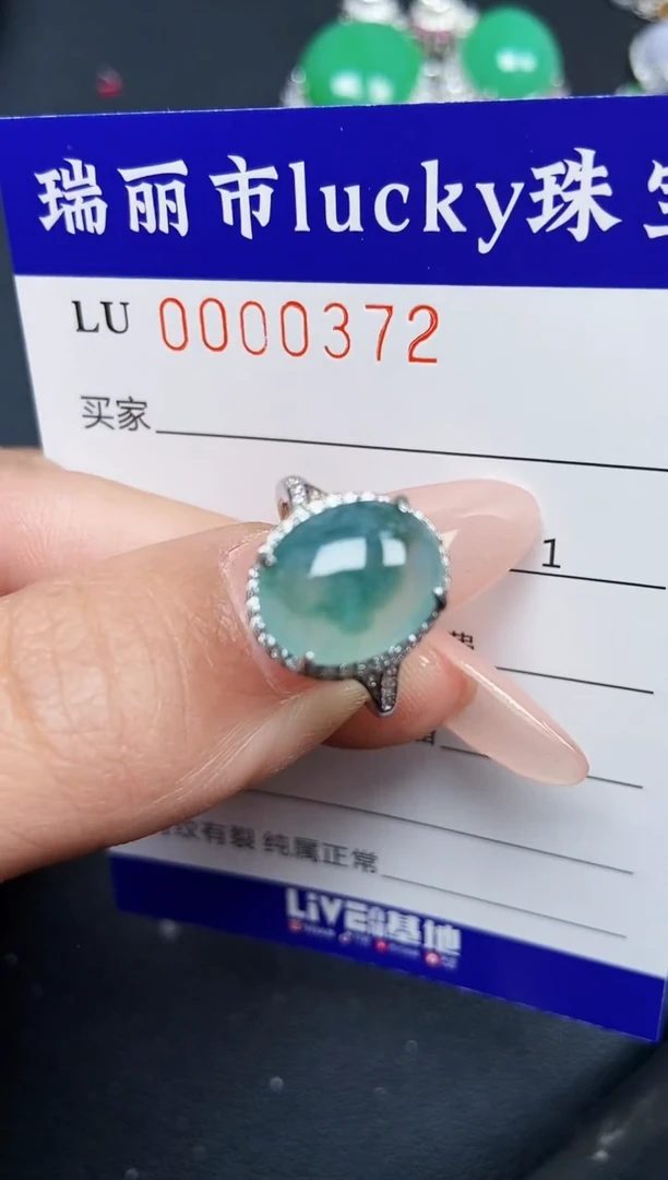 【闪购商品】翡翠颈饰银S925镶嵌0372