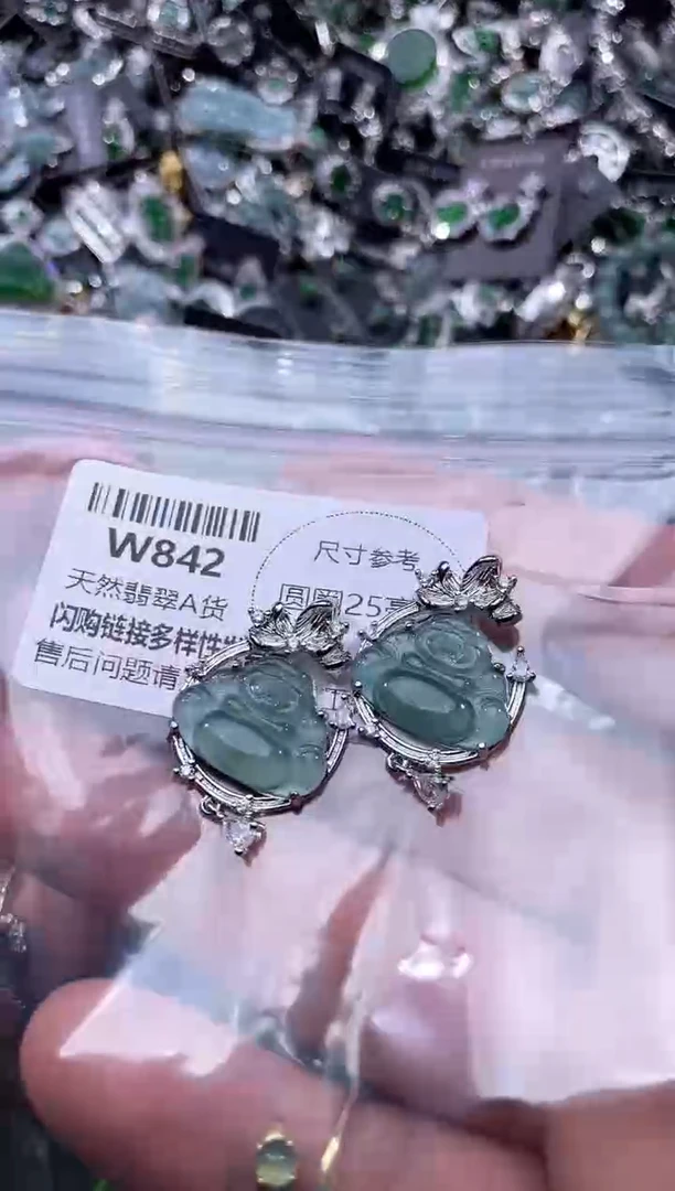 【闪购商品】翡翠颈饰未镶嵌W842多样性发其一