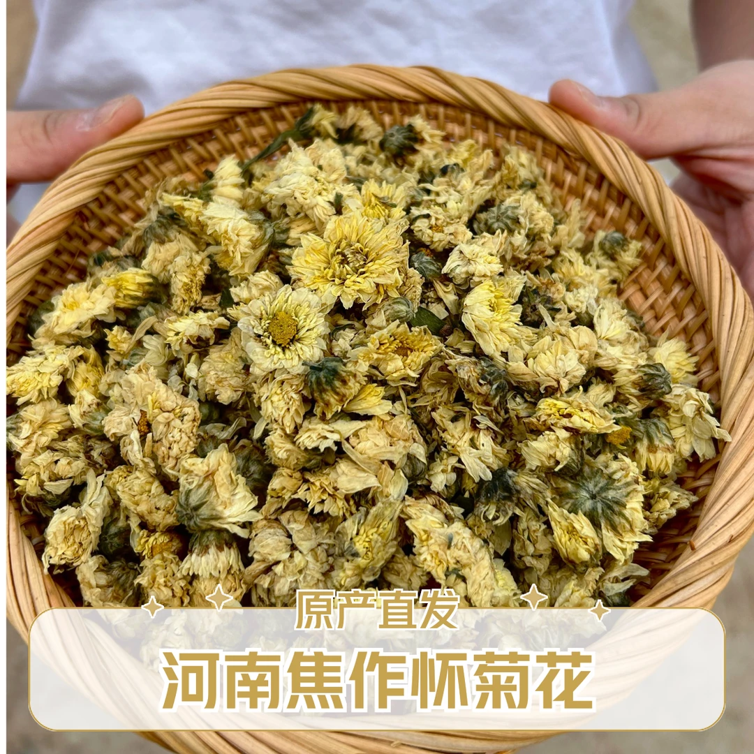 正宗新货特级精选大朵河南怀菊花菊花茶下火优质草茶