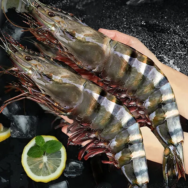 活冻超大黑虎虾 金刚虾（13-15条/斤）Q弹劲道  2斤装，顺丰发货
