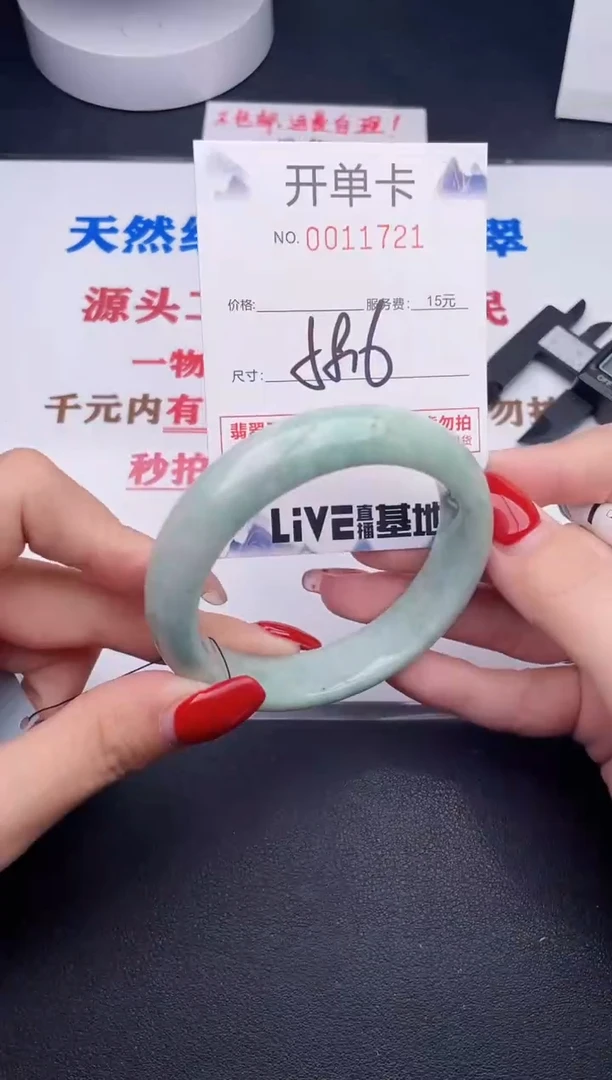 未镶嵌手镯翡翠21