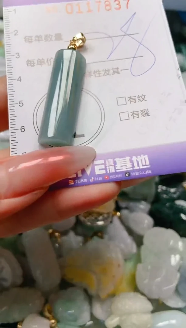 【闪购商品】翡翠颈饰未镶嵌闪购0117837