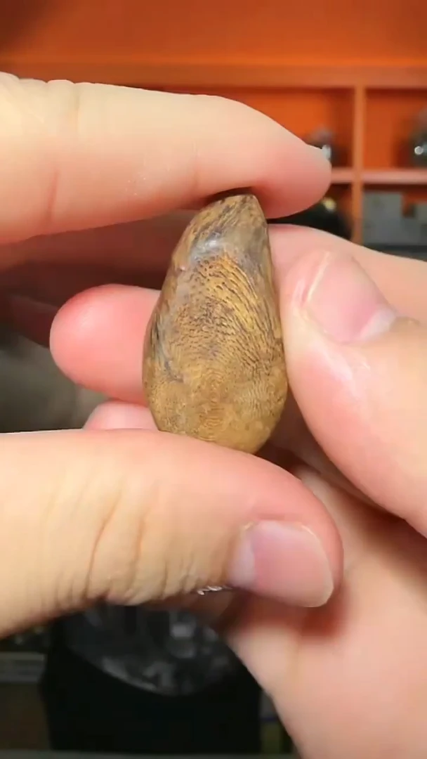 沉香吊坠97号天然野沉水挂件多样性发一