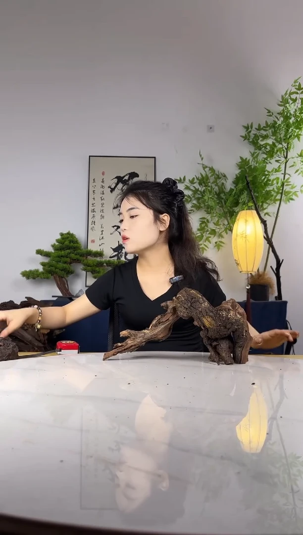 丛****梨拍这个定向编号53-54