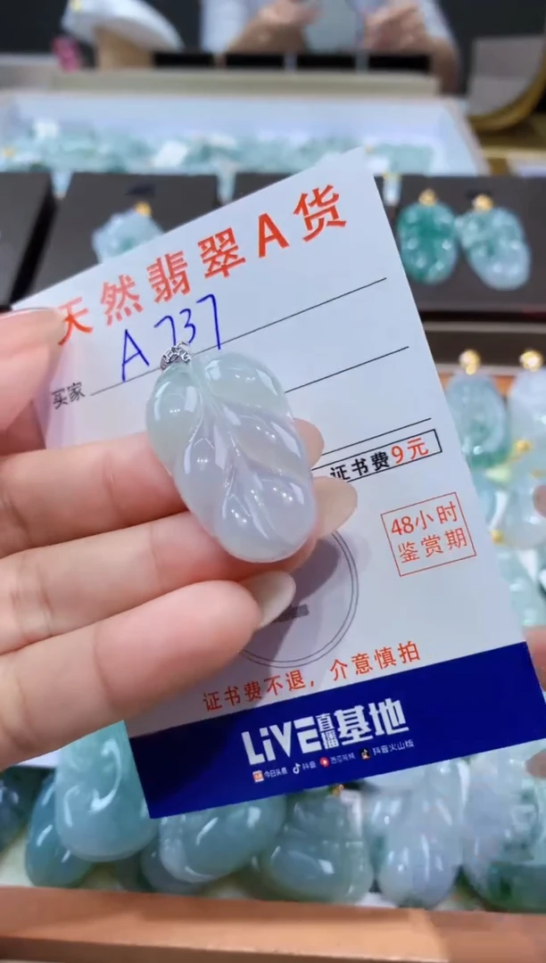 颈饰未镶嵌翡翠天然缅甸翡翠A货挂件