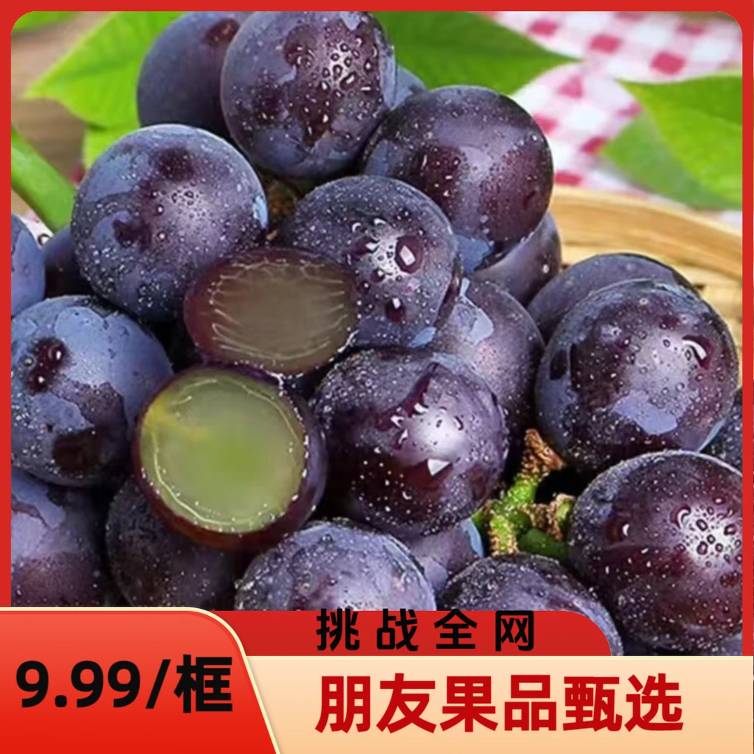 挑战全网9.99一筐【巨峰葡萄净果3.5斤上下】东三省顺丰发货辽宁省