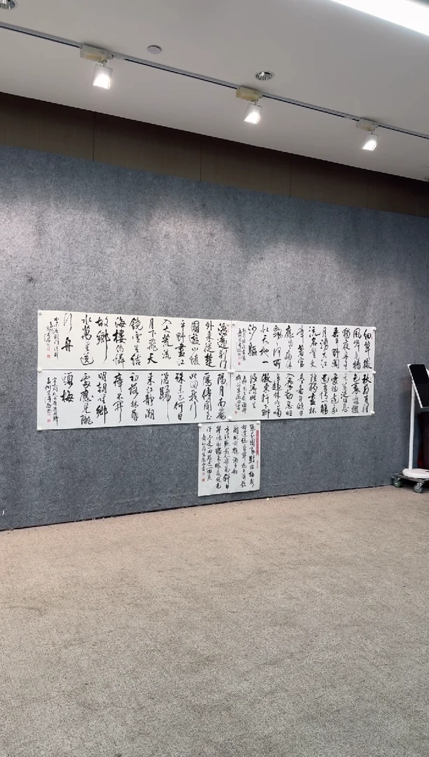 【闪购商品】书法pmb不二轩旗舰店国画SDG3