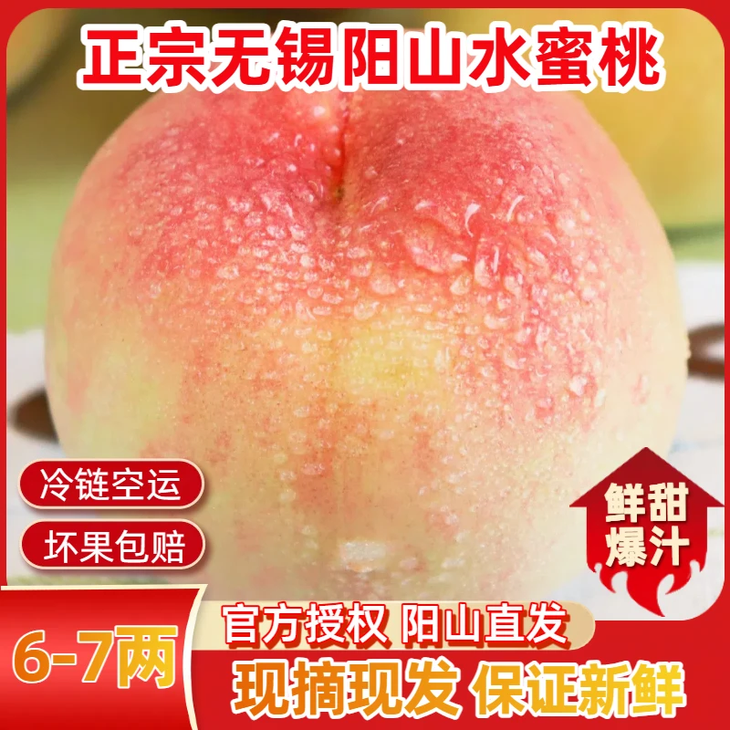 买一箱送一箱【6-7两】正宗无锡阳山水蜜桃甜湖景白凤爆汁礼盒顺丰J