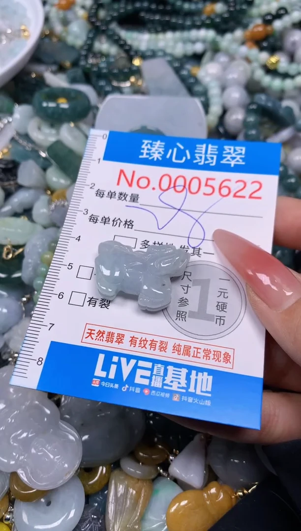 【闪购商品】翡翠颈饰未镶嵌含绳000