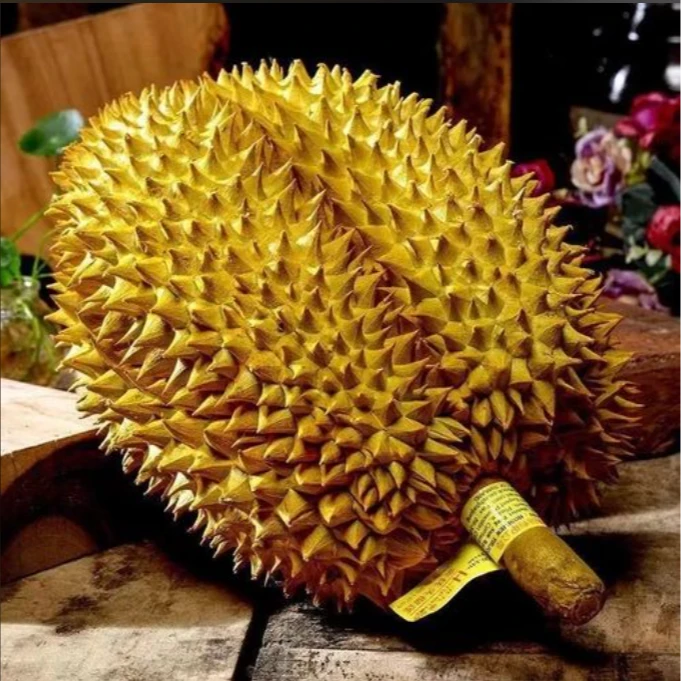 （特）【东莞同城小时达】整果一果一价一拍/KG，新鲜泰国树熟金枕榴莲%90核小榴莲同城配金枕泰国东部